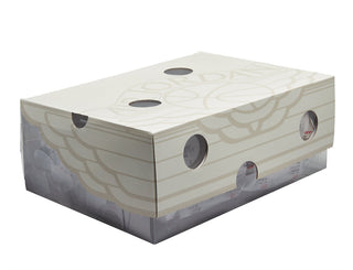 Air Jordan 2 Retro Low SP x Off-White "Black Blue"